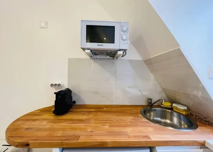 Appartement Sur Les Toits De Parijs